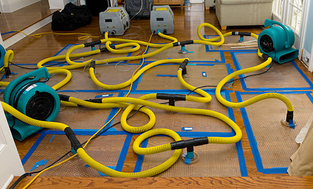 Professional Crawl Space Water Removal technician working in Sugar Grove, IL
